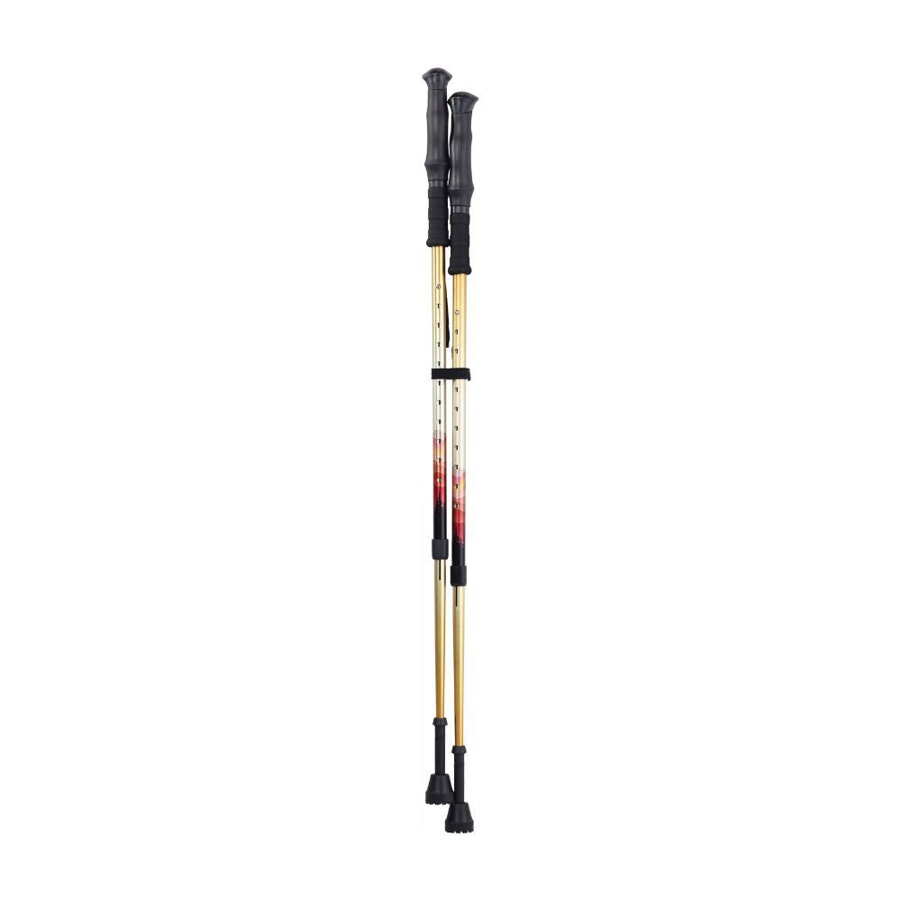 Premium Summit Walking Poles