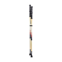 Premium Summit Walking Poles