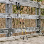 Drive Medical RTL10330MN Summit Walking Poles